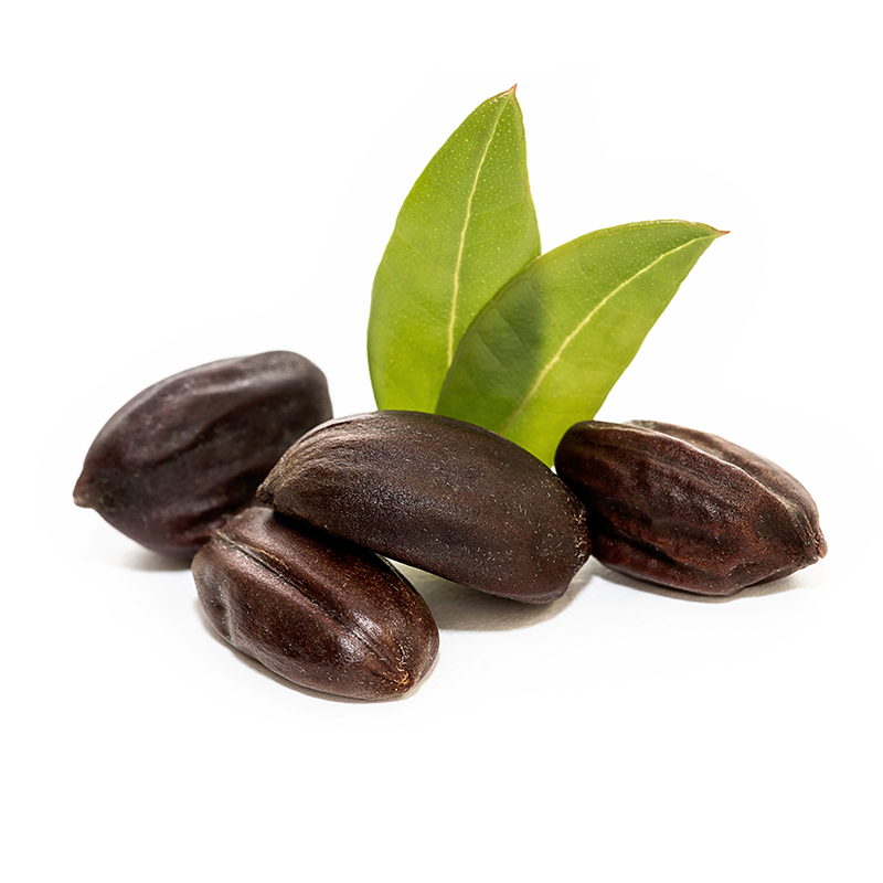 jojoba